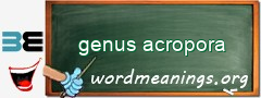 WordMeaning blackboard for genus acropora